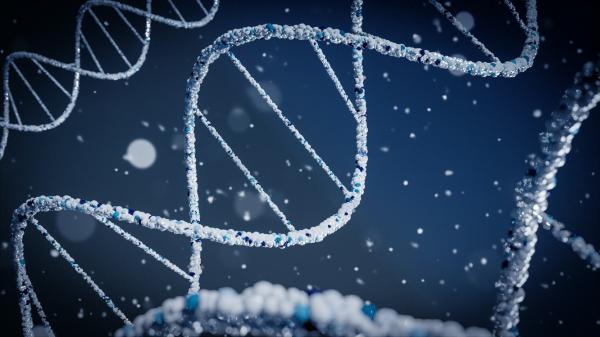 3D visualization of DNA strand