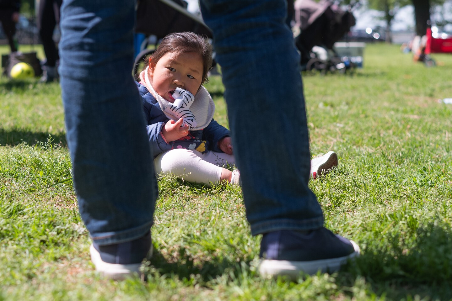 child sitting in the grass seen between an adult's legs
